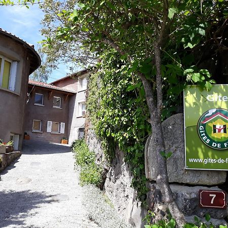 Grande Maison Au Coeur D'Un Village Historique Avec Terrasse Et Wifi Inclus - Fr-1-582-308 Saint-Vidal Eksteriør billede